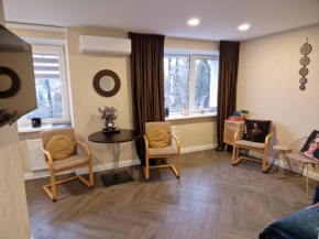 Petite City Centre Apartment